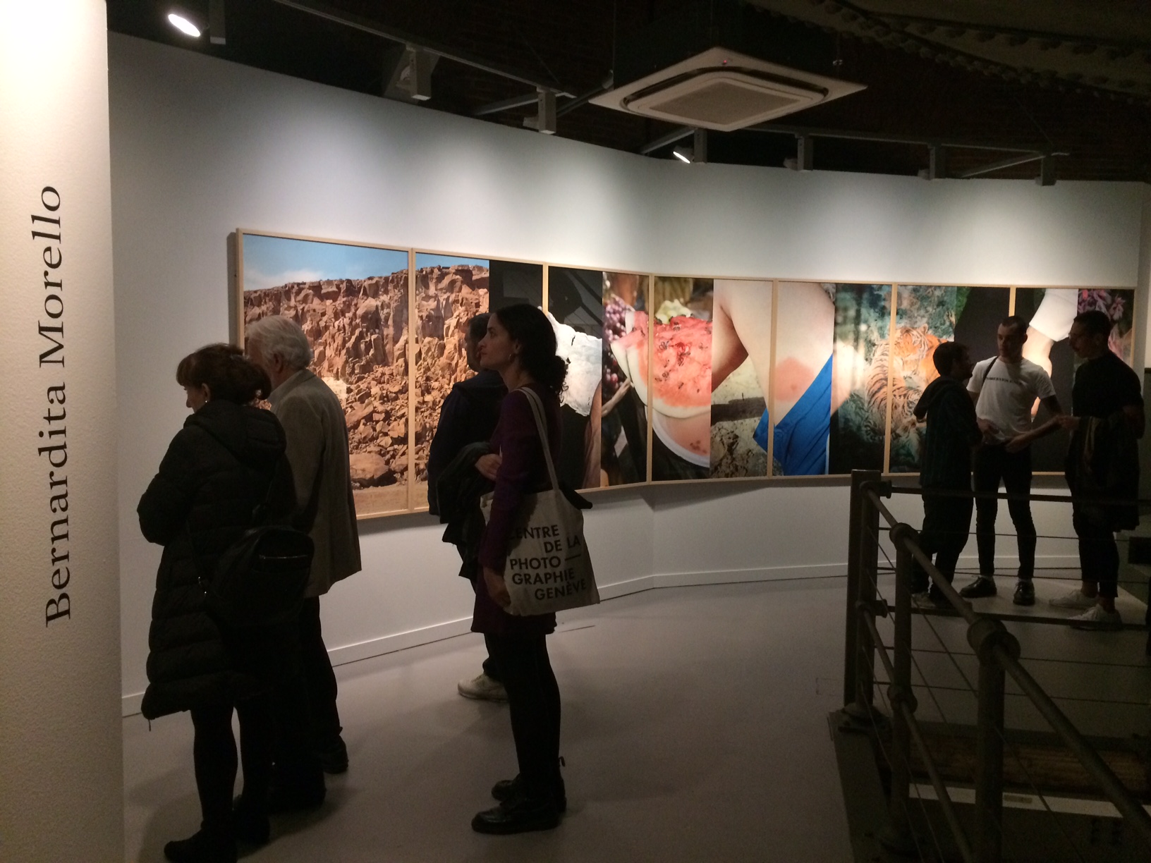 Bernardita Morello - 