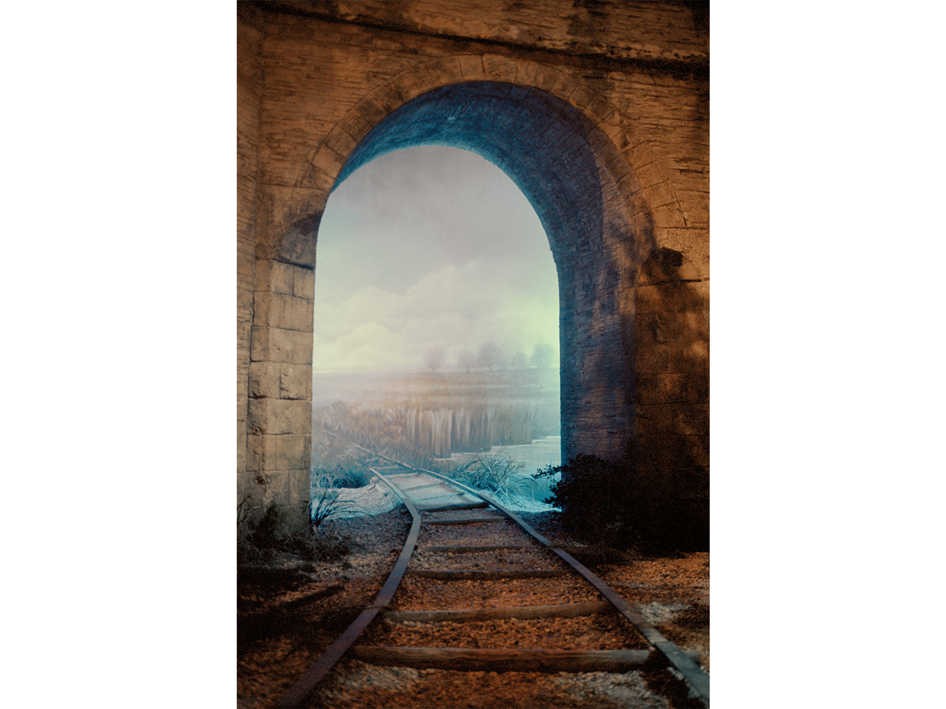 Bernardita Morello - 