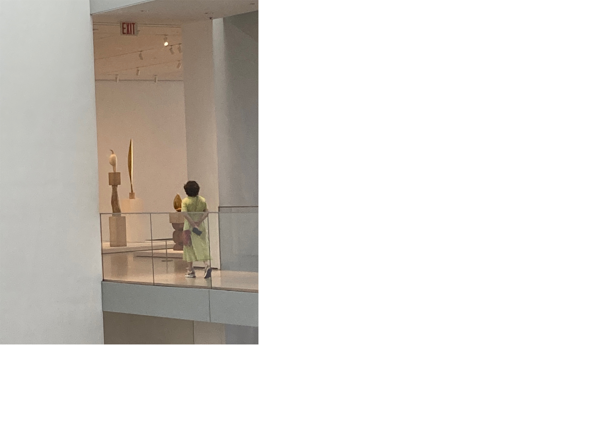 Bernardita Morello - 