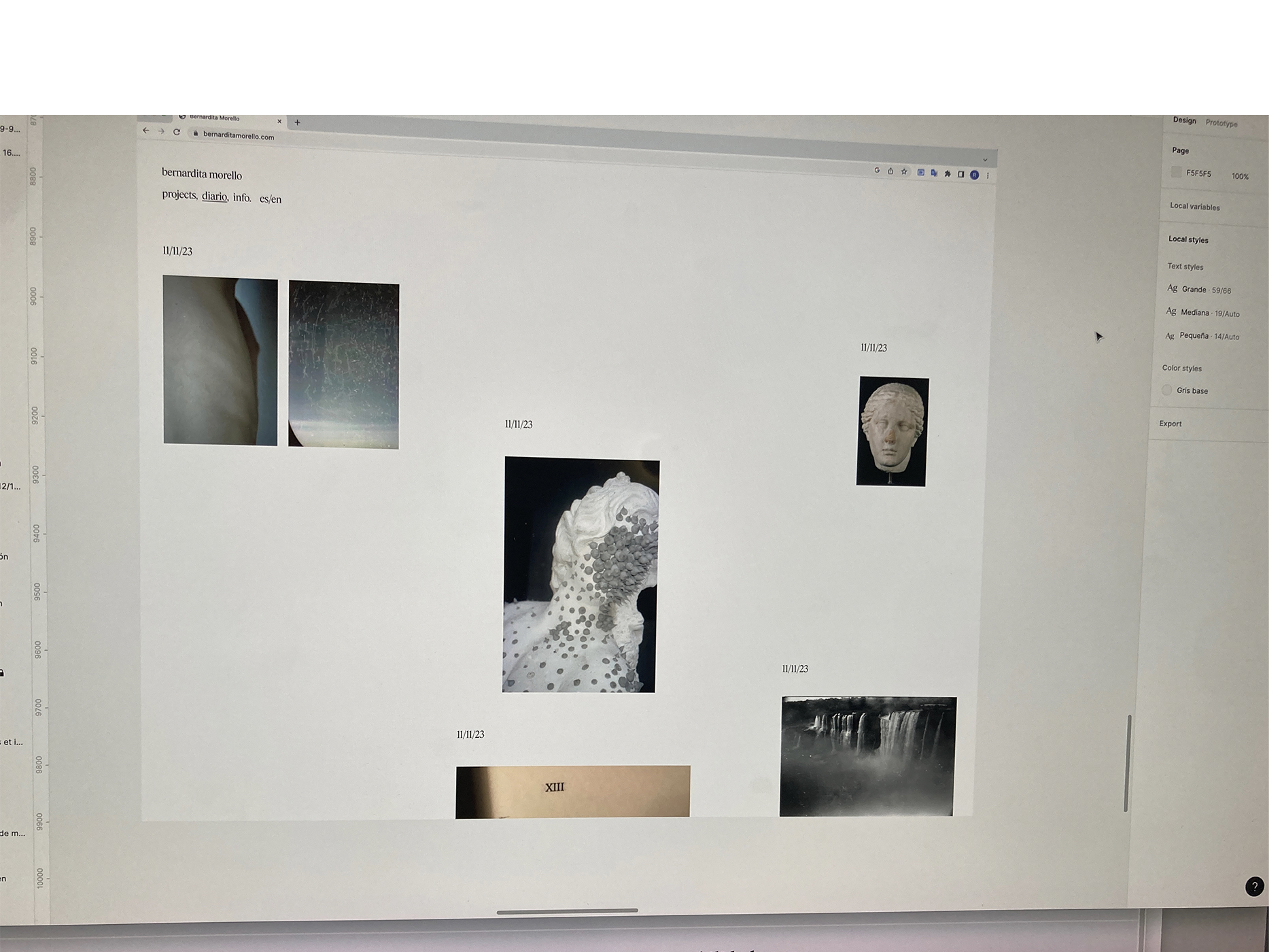 Bernardita Morello - 