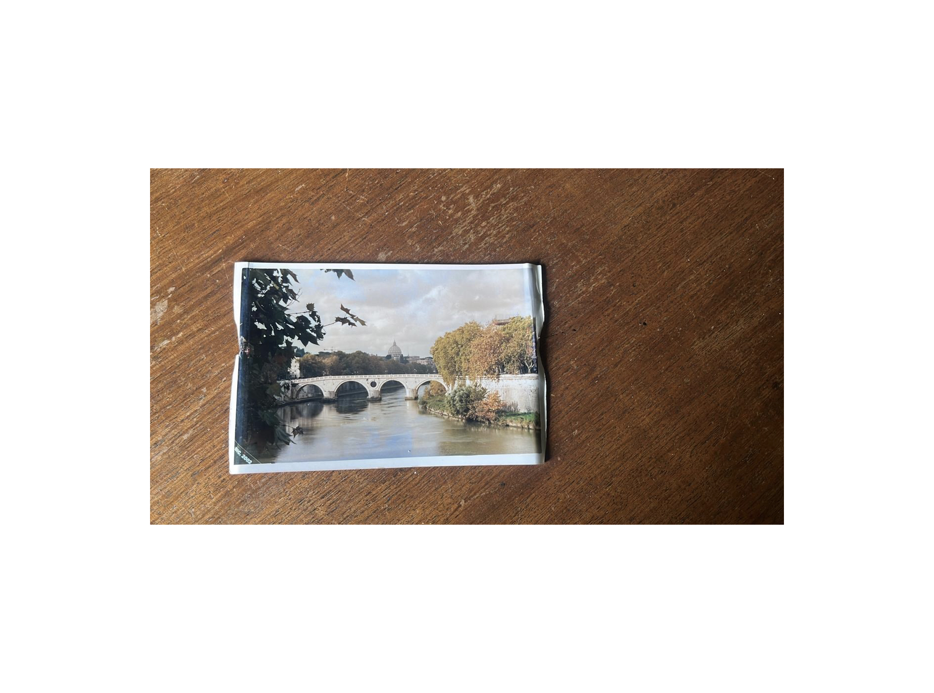 Bernardita Morello - 
