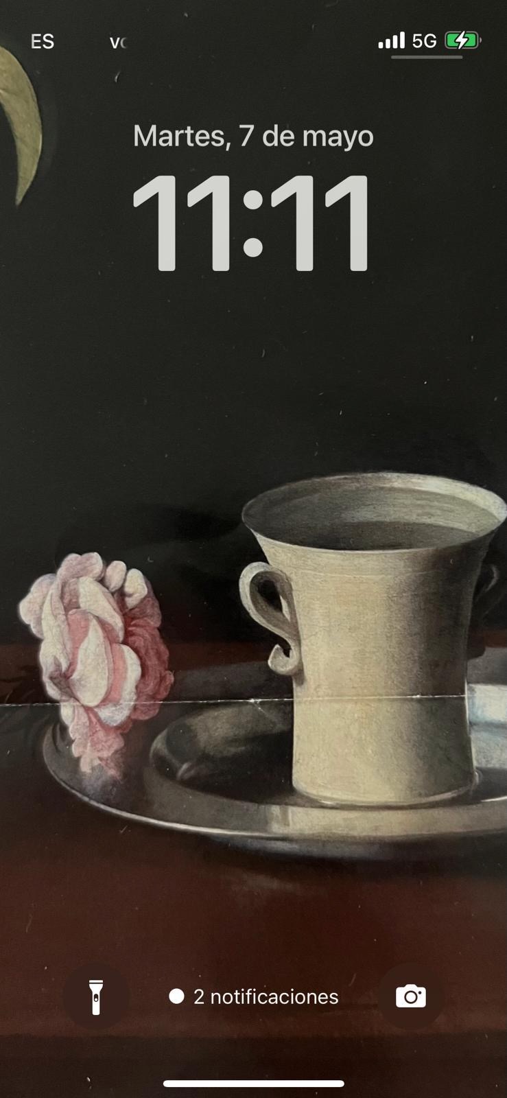 Bernardita Morello - 