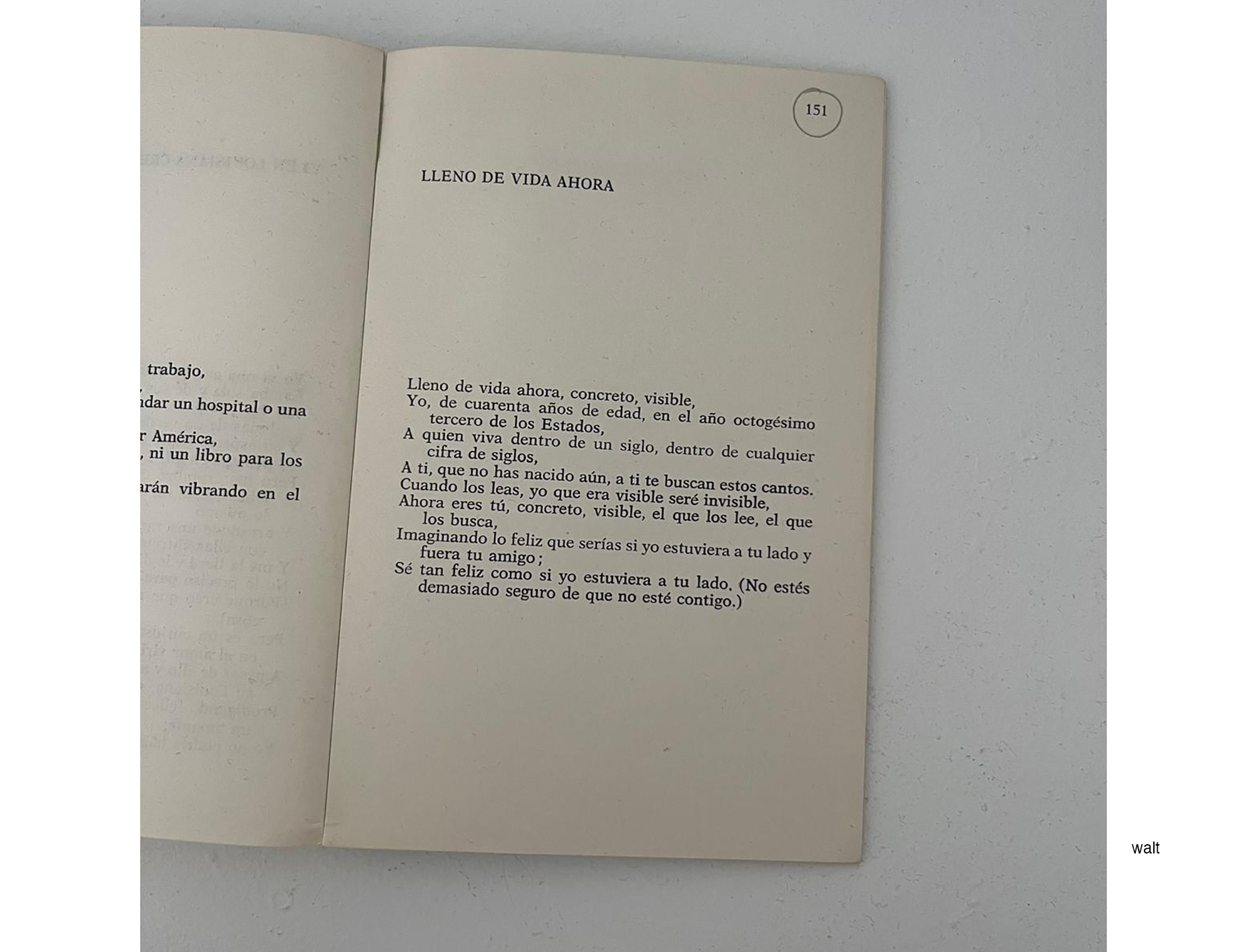 Bernardita Morello - 